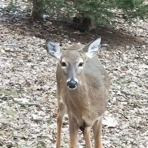 Meet your Posher, Christie